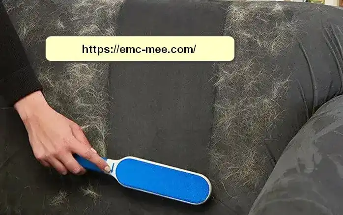 شركة تنظيف كنب بالرياض شركة تنظيف كنب بالرياض