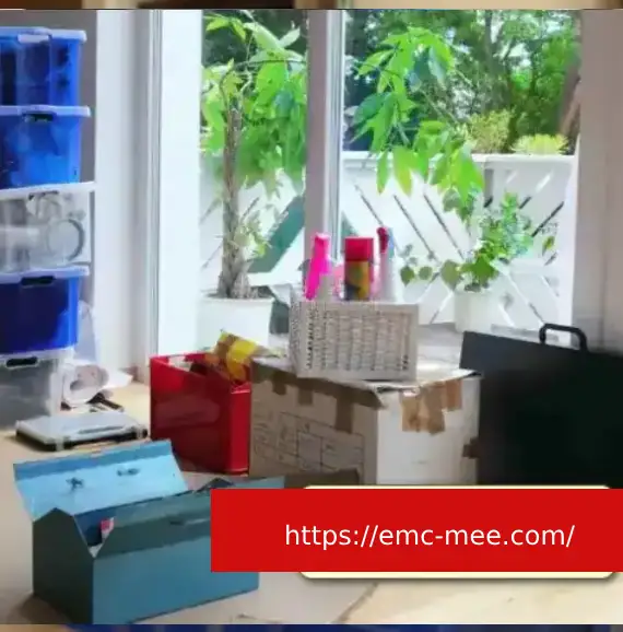 شركة نقل عفش من الرياض الى مصر